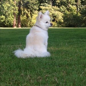 Meet your Posher, Julie